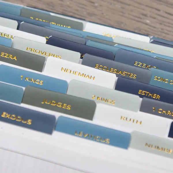 BIBLE BOOK TABS - MENS EARTH TONES