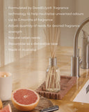 CIRCA ALCHEMY DIFFUSER - GRAPEFRUIT & CEDARWOOD