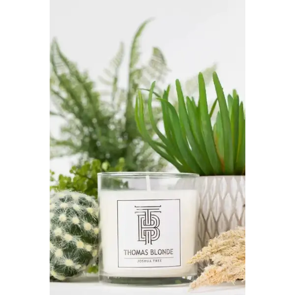 JOSHUA TREE  CANDLE 12oz