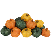 DRIED EXOTIC PUMPKINS 18PC