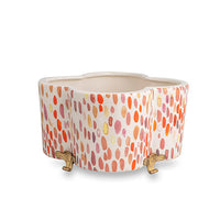 JAMBOREE BERRY QUATREFOIL PLANTER