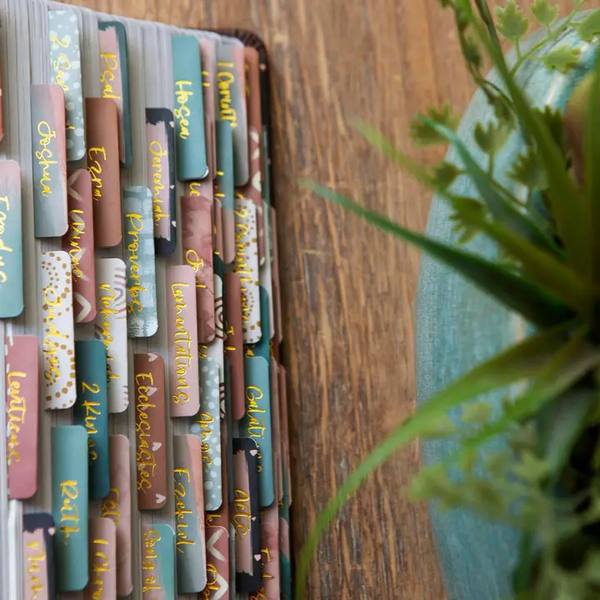 BIBLE BOOK TABS - ROSE/TEAL/GOLD