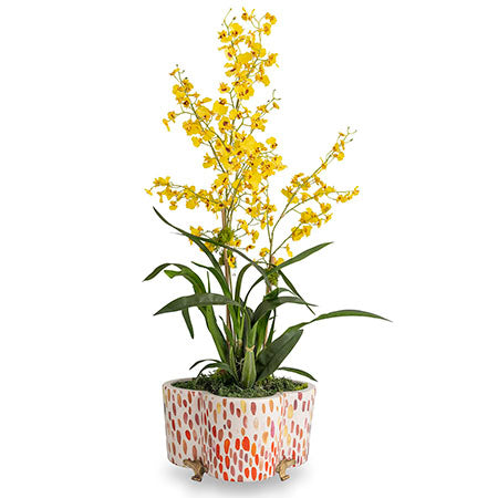 JAMBOREE BERRY QUATREFOIL PLANTER